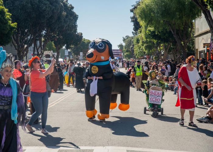 Costumed parade participants